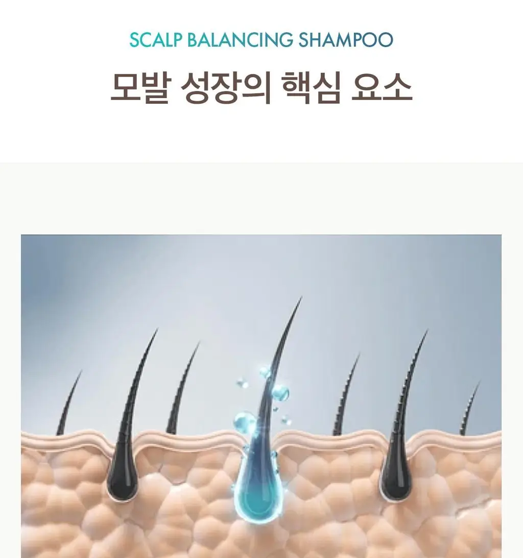 [두피 케어] 모로칸오일 스칼프 밸런싱 샴푸 250ml 상세페이지 13